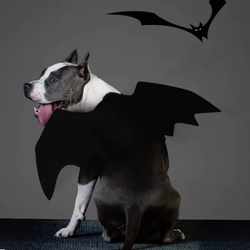 Midnight Howler Wings
